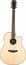 Breedlove SOLO-DREAD Solo Dreadnought Acoustic-Electric Guitar Image 2