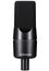 SE Electronics X1-A Large-diaphragm Condenser Microphone Image 2