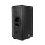 DB Technologies DVX D15 HP 15" 2-Way Active Speaker, 700W Image 1