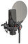 SE Electronics SEE-X1SVP X1S LDC With Shock Mount, Pop Filter, And 3-meter Cable Image 1