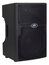 Peavey PVXp 12 DSP 12" 2-Way Active Speaker With DSP Image 2