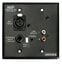 Whirlwind MIP1 2-Gang Black Wallplate With XLR, 1/4" , RCA, And 1/8" Inputs And Ground Lift Image 1
