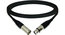 Pro Co EXMN-60 60' Excellines XLRF To XLRM Microphone Cable Image 1