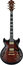 Ibanez AM153QA Artstar 6 String Electric Guitar With Case Image 2