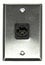 Whirlwind WP1/1MNS Single Gang Wallplate With XLRM Connector And Screw Terminal, Silver Image 1