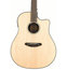 Breedlove SOLO-DREAD Solo Dreadnought Acoustic-Electric Guitar Image 1