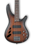 Ibanez SR30TH4NNF SR Standard 4 String Electric Bass - Natural Browned Burst Flat Image 2