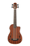 Kala UBASS-JYMN-FS Journeyman Acoustic Electric U-Bass With F Holes Image 1