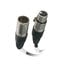 Chauvet Pro DMX5P10FT 10' 5-pin DMX Cable Image 1