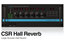 IK Multimedia T-RACKS-S-CSR-HALL Large Acoustic Hall Reverb [DOWNLOAD] Image 1