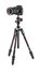 Manfrotto MKBFRTC4-BHUS Befree Advanced Carbon Fiber Tripod With 494 Ball Head Image 3