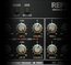 Slate Digital Repeater Delay (download) Vintage Modeled Delay Software Plug-in Image 3