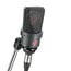 Neumann TLM 103 Large Diaphragm Cardioid Condenser Microphone Image 2