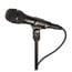 Audio-Technica AT2010 Cardioid Condenser Handheld Microphone Image 1