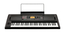 Korg EK-50L 61-Key Entertainment Keyboard With High Output Speakers Image 2