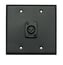 Whirlwind WP2B/1FW Dual Gang Wallplate With 1 Whirlwind WC3F XLRF Connector,Blk Image 1