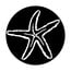 Apollo Design Technology ME-7005 Steel Gobo, Starfish Image 1