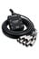 Hosa SH-8X0-50 50' Little Bro' Stage Box Snake, 8 XLR Sends Image 1