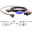 Pro Co EC1-50 50' Combo Cable With Dual XLR And Blue PowerCON To Edison Image 1