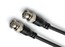 Pro Co WDC-10 10' Excellines Wordclock Cable Image 1