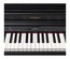 Roland RP-701 88-Key Digital Piano W/ SuperNATURAL Modeling Image 4