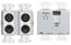 RDL DD-RN42C Wall-Mounted Dante Interface, 2 XLR In, 2 XLR Out, 2 In, Custom Label Image 1