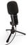 Zoom ZUM-2 USB Podcast Condenser Microphone Image 1