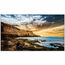 Samsung QE50T 50" Class 4K UHD Commercial LED Display Image 2