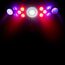 ADJ FURIOUS-FIVE-RG 5-in-1 Effects Light With Wired Digital Communication Network Image 4
