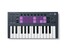 Novation FLKEY-MINI Compact 25 Key MIDI Keyboard For FL Studio Image 3