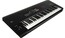 Korg NAUTILUS61 61 Key Workstation Keyboard Image 2