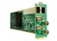 BirdDog OG4 4-Channel 12G SDI OpenGear Card Image 1