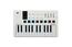 Arturia MiniLab 3 MIDI Keyboard, White Image 1