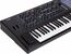Arturia PolyBrute Noir Edition 61-Key Polyphonic Analog Synth, Special Edition Black Image 3