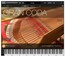 Psound Gran Coda F278 Grand Piano [Virtual] Image 4