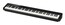 Casio Privia PX-S5000 88-Key Digital Piano With Smart Hybrid Hammer Action Keybed Image 3