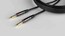 Gator GCWH-INS-20 CableWorks Headliner Series 20' St To St Instrument Cable Image 1