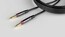 Gator GCWH-INS-20RAQT CableWorks Headliner Series 20' St To RA Quiet Instr Cable Image 1