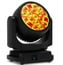 Ayrton Argo 6 FX IP65 LED Wash Image 1