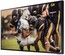 Samsung 65" BHT Series QLED 4k Outdoor Digital Display Image 2