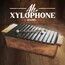 Soundiron Alto Xylophone Tuned Percussion Instrument [Virtual] Image 1