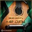 Soundiron Brad Hoyt's Harp Guitar Acoustic Harp Guitar For Kontakt [Virtual] Image 1