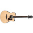 Ibanez AAM380CE Advanced Auditorium Acoustic-electric Guitar Image 1