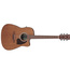 Ibanez PF54CE Acoustic-electric Guitar Image 1