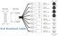 AJA 3G-AM-XLR 3G-SDI 8-Channel AES Embedder/Disembedder With XLR Breakout Cable Image 2