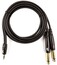 D`Addario PW-MPTS-06 6' 1/8" ST Male To Dual 1/4" Cable Image 2