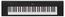 Yamaha NP15 61-key Entry-level Piaggero Ultra-portable Digital Piano. Image 1