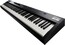 Roland RD-88EX 88-Key Digital Stage Piano Image 4