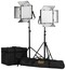 ikan LW10-2PT-KIT Lyra 1 X 1 Daylight 2-Point Soft Panel LED Light Kit Image 1