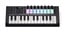 Novation Launchkey Mini25 [MK4] 25-Note Mini-Controller Keyboard For All Major DAWs Image 1